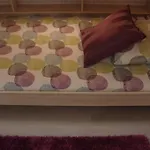 Novo Apartamento Graça